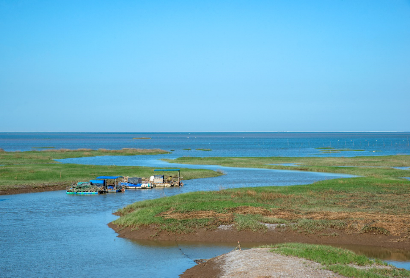 蓝色海湾-中海湾.png